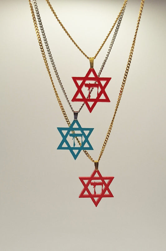 Hai Pendant Necklace with Magen David