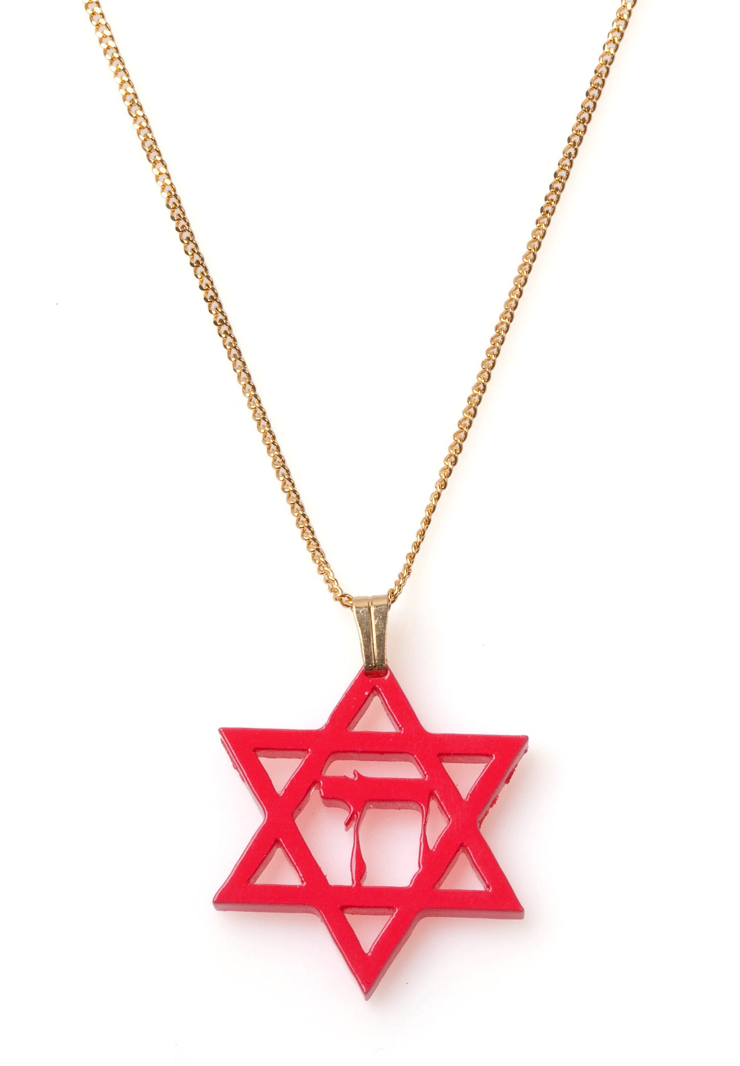 Hai Pendant Necklace with Magen David